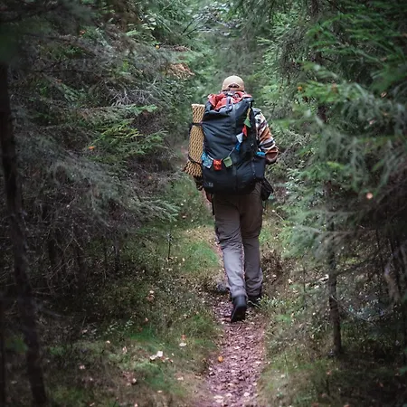 Деревянный коттедж Laagen